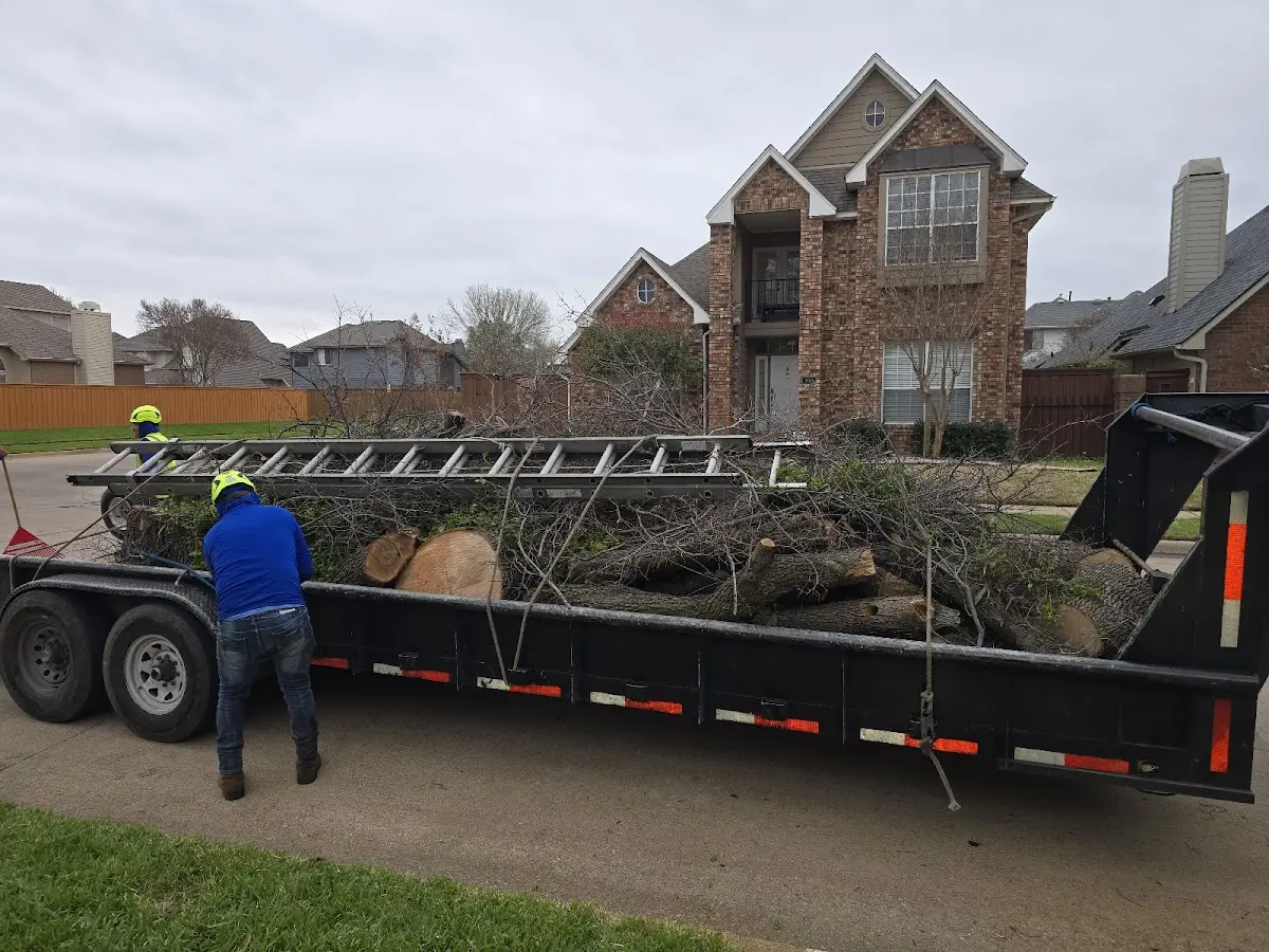 Expert Tree Removal with proper safety equipment in Pikesville